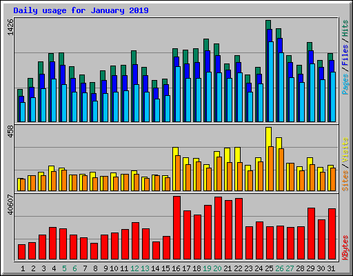 Daily usage for January 2019