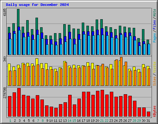 Daily usage for December 2024