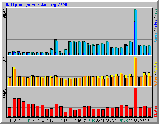 Daily usage for January 2025
