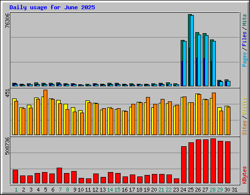 Daily usage for June 2025