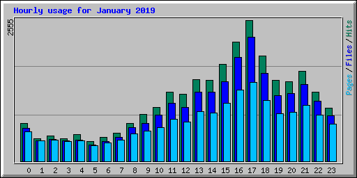 Hourly usage for January 2019