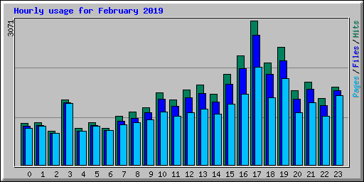 Hourly usage for February 2019