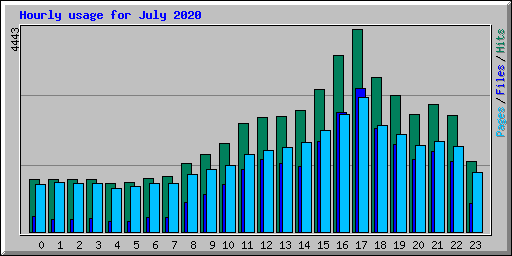 Hourly usage for July 2020