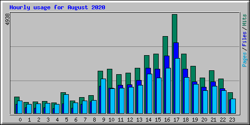 Hourly usage for August 2020