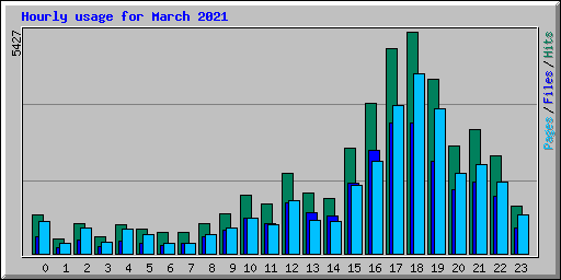 Hourly usage for March 2021