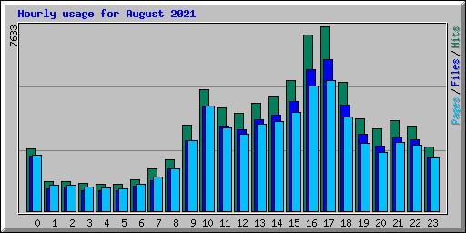 Hourly usage for August 2021
