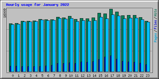 Hourly usage for January 2022