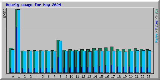 Hourly usage for May 2024