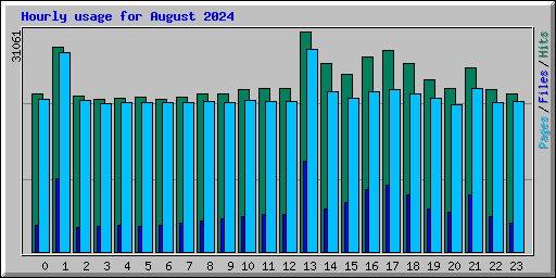 Hourly usage for August 2024