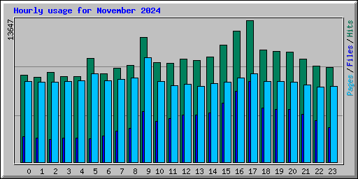 Hourly usage for November 2024