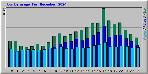 Hourly usage for December 2024