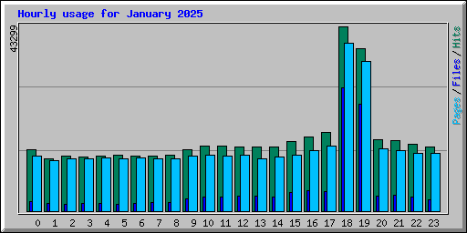 Hourly usage for January 2025