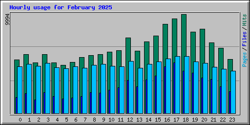 Hourly usage for February 2025