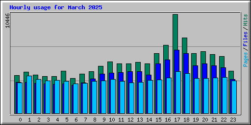 Hourly usage for March 2025