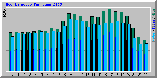 Hourly usage for June 2025
