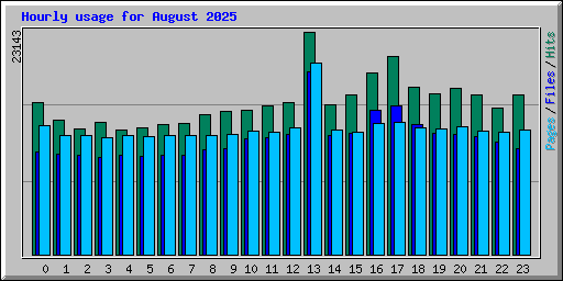 Hourly usage for August 2025