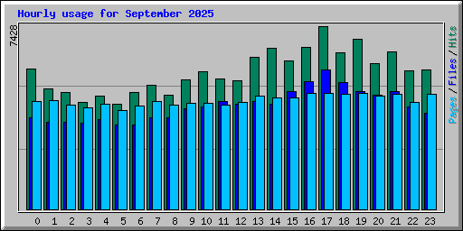 Hourly usage for September 2025