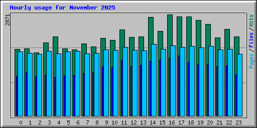Hourly usage for November 2025