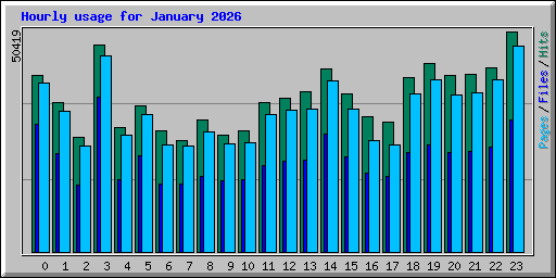 Hourly usage for January 2026