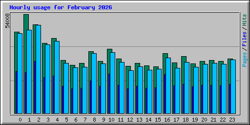 Hourly usage for February 2026