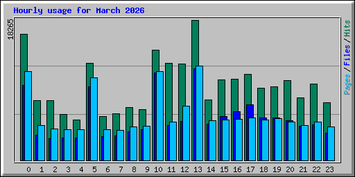 Hourly usage for March 2026