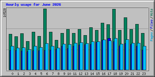 Hourly usage for June 2026