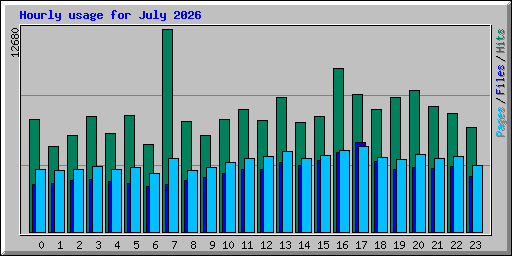 Hourly usage for July 2026